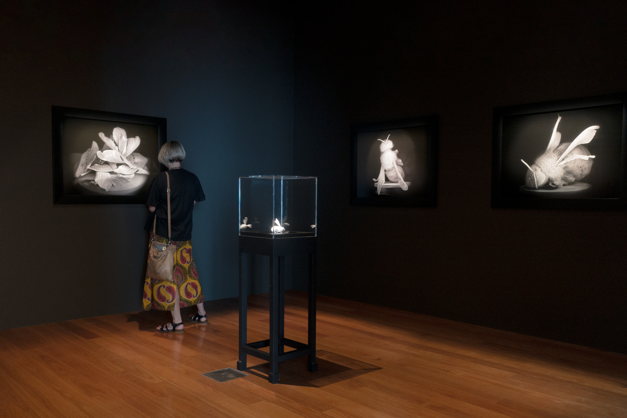 BEE-MUSEUM_02