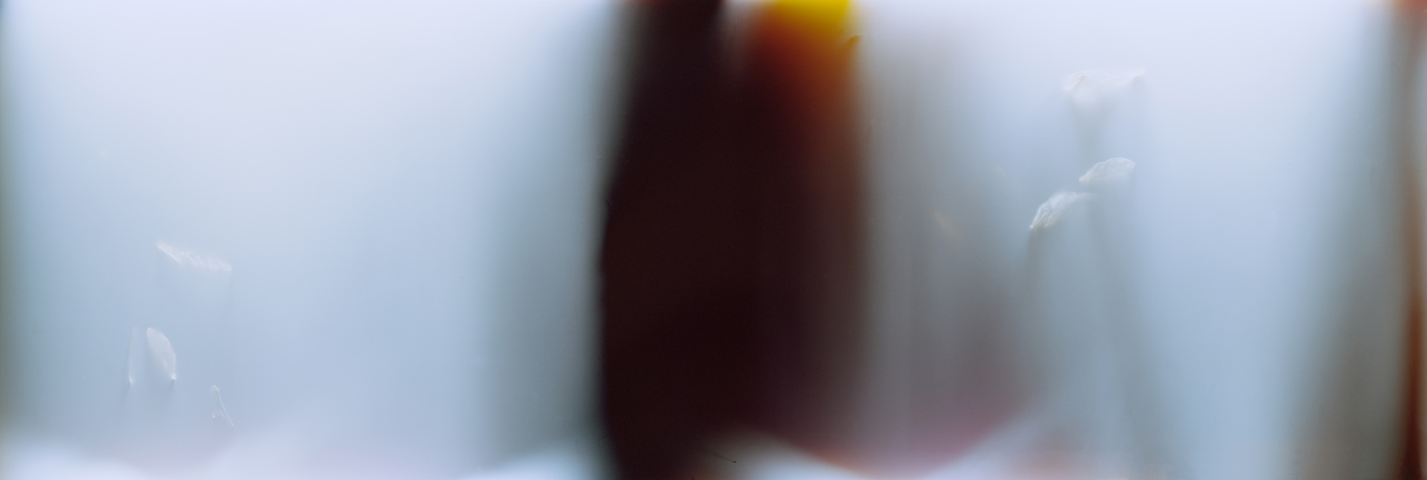 02_FILM_NEG_02_NOBLE 001