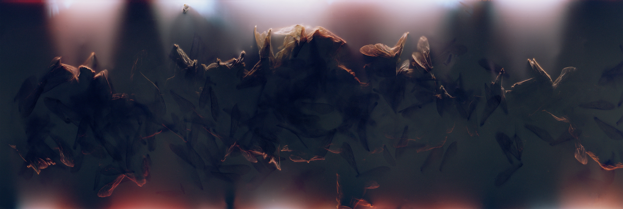 03_FILM_06_NOBLE 001