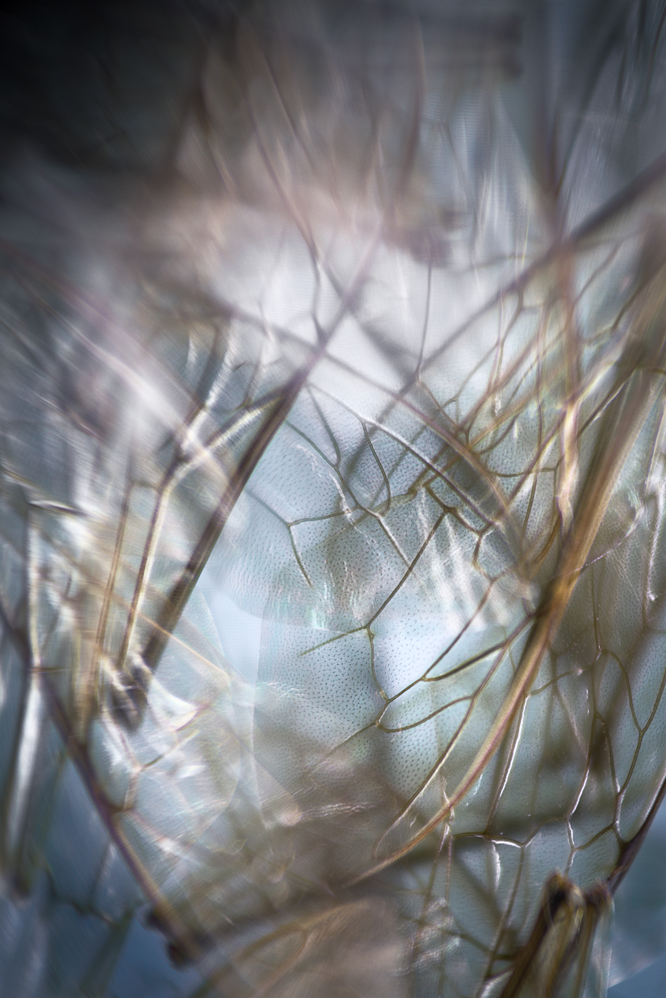EIDOLON_05