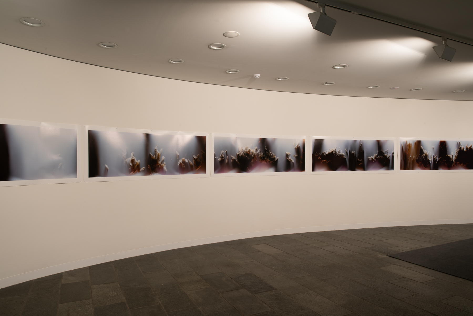 Antipodean emanations installation view