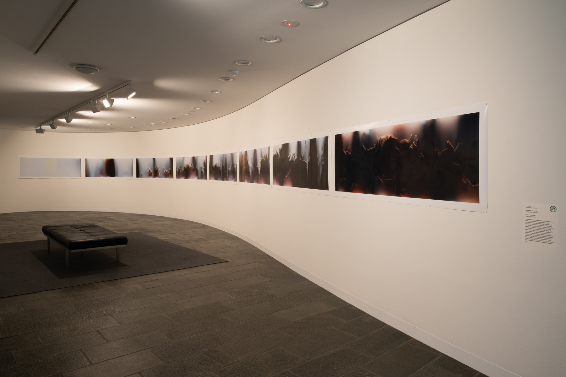 Antipodean emanations installation view