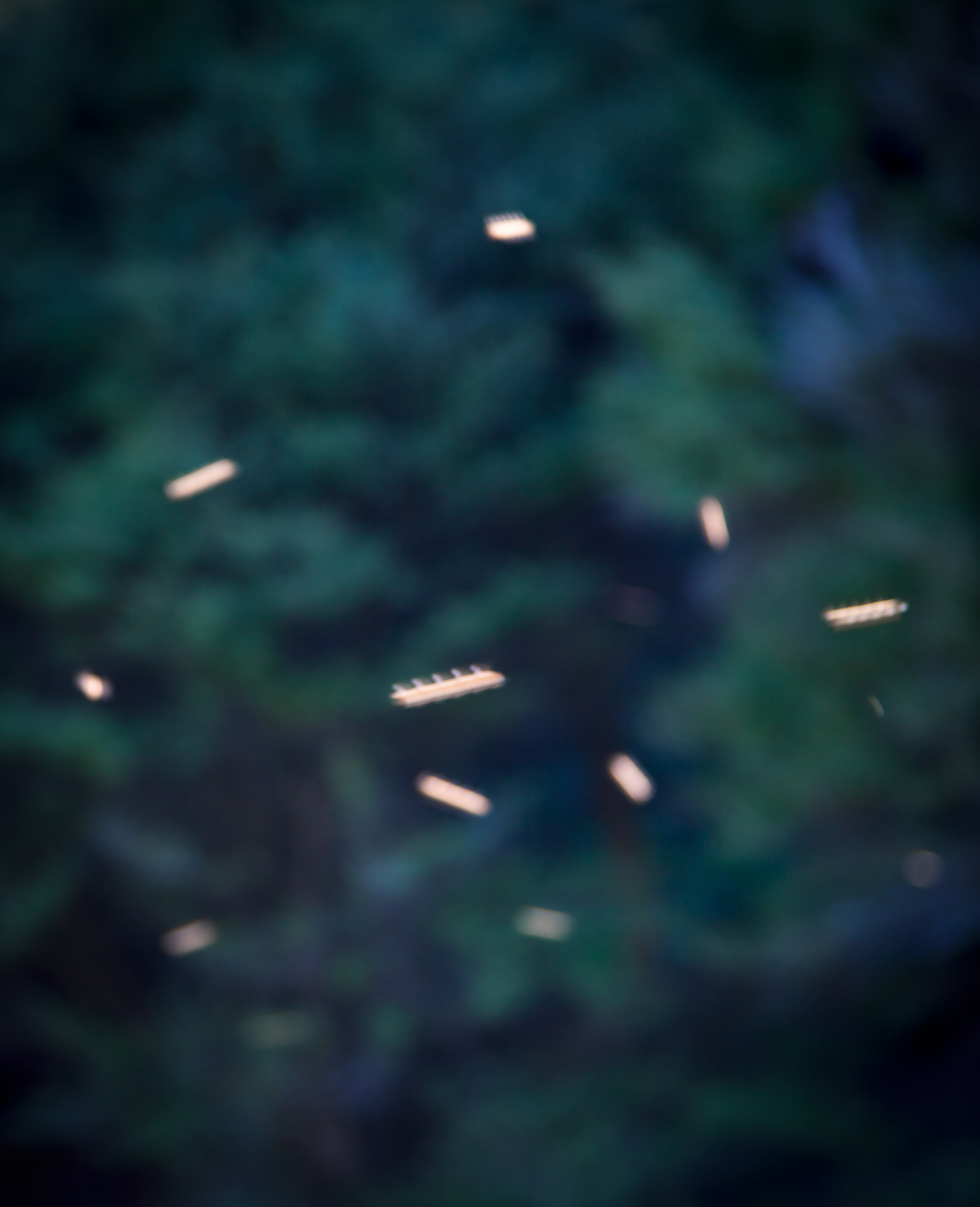 SONG-STING-SWARM_20